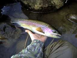 Onother catch for our table