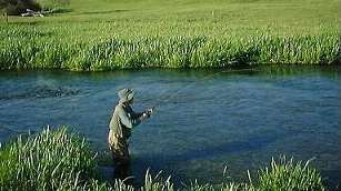 A long time fighting with a nice two pounder rainbow.