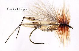 Clark's Hopper