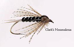 Clark's Nesamaletus