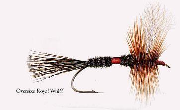 Oversize Royal Wulff