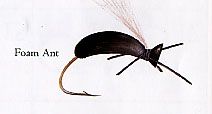 Foam Ant