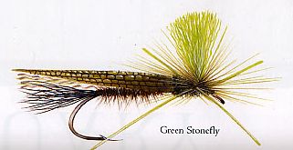 Green Stonefly