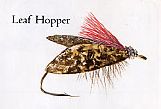 Leaf Hopper