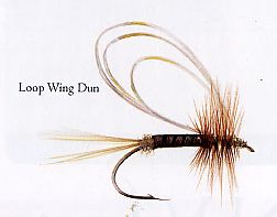 Loop Wing Dun