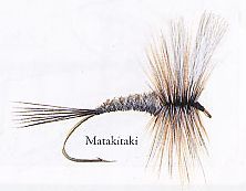 Matakitaki