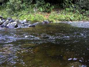A pool