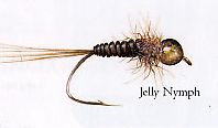 Jelly Nymph