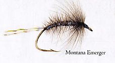 Montana Emerger