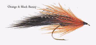 Orange & Black Bunny