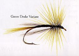Green Drake Variant