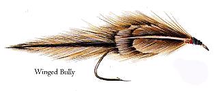 Winged Bully