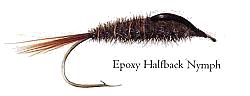 Epoxy Halfback Nymph