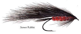 Sunset Rabbit