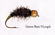 Green Butt Nymph