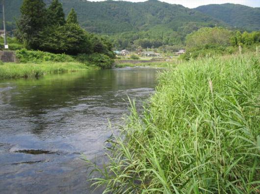 魚影の見えない瀬