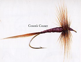 Coxon's Coaxer