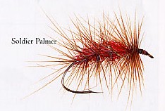 Soldier Palmer