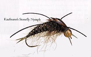 Kaufmann's Stonefly Nymph