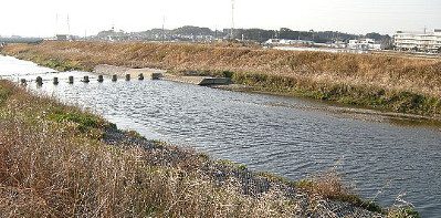 冬晴れの河原に風が吹き抜ける