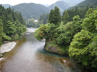 小雨がそぼ降る絶好の天気