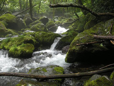 冷気漂う山岳渓流