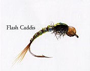 Flash Caddis
