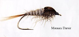 Mataura Darter