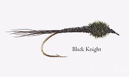 Black Knight