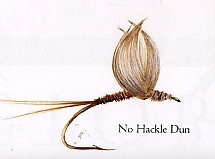 No Hackle Dun