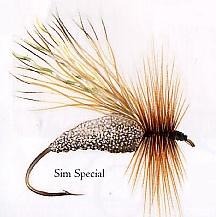 Sim Special