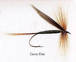 Green Dun