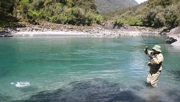 疲れてきた鱒が水面で暴れる