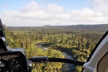 原生林の中、蛇行する川の上空を飛ぶ