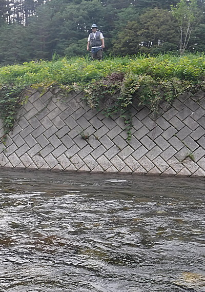 叔父が護岸の上に