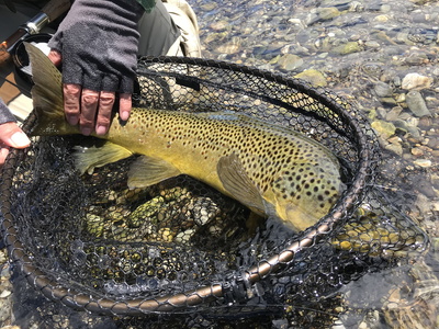 今回釣行の１尾目