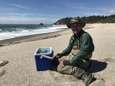 砂浜歩きは足腰にこたえる