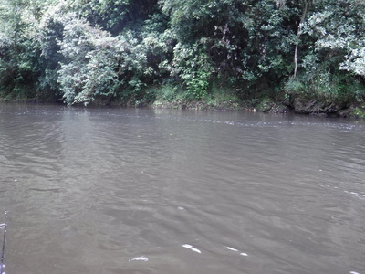 しだいに水が濁ってきた