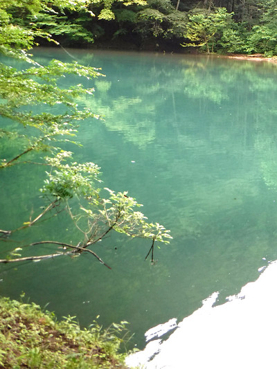 水は青緑の深い色