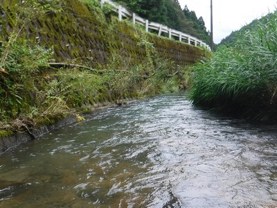 細長い淵