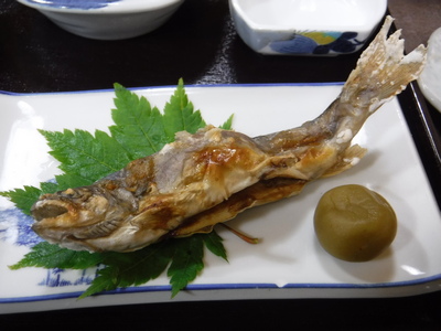 イワナの塩焼き