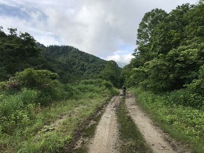 新緑の中、ひたすらペダルを漕ぐ