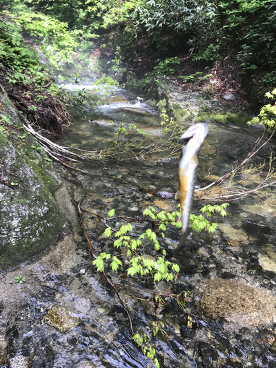 谷倉さんが可愛いサイズを釣り上げた