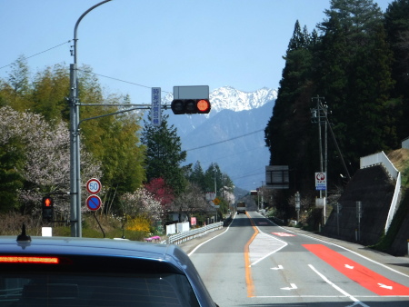 街道はソメイヨシノ、山桜、花桃、木瓜、水仙、タンポポなどが咲き乱れている。