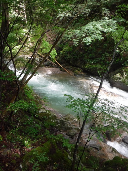 「深山幽谷」風の山岳渓流