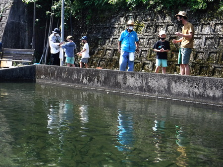あちこちで歓声が上がる。魚影が濃い。（笑）