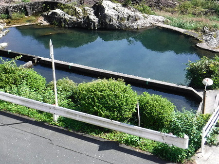いつもの釣り池にニジマスがぜんぜん見えない