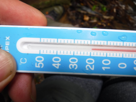 水温は 19.5℃
