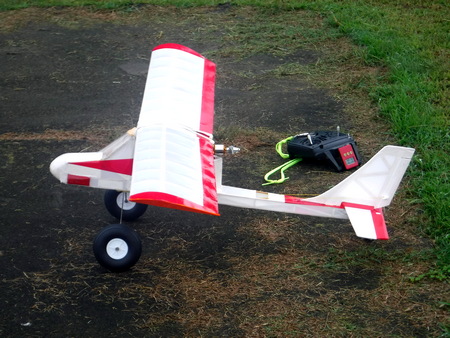 苦労の末完成した自作のNAVION(プッシャー型機)