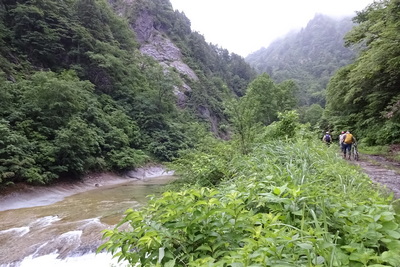 源流部は山々の新緑が綺麗